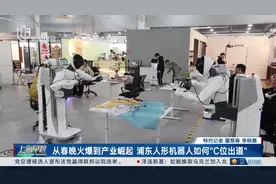 从春晚火爆到产业崛起 浦东人形机器人如何“C位出道”视频封面