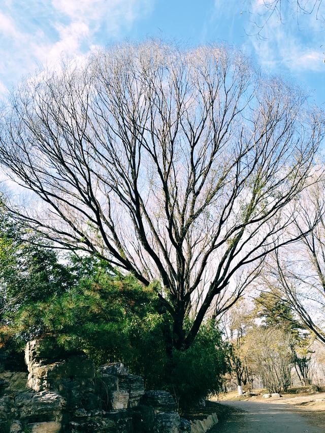 秋深冬浅时，奥森浸染缤纷色彩