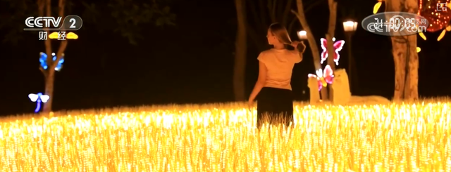 花样“夜”态燃动夏日夜游消费热力 玩法“上新”撬动“八小时外”经济新支点