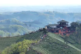 信阳文旅越来越city,青年游客成主流图片