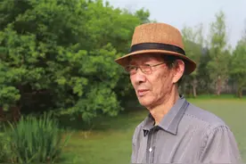 孙建英：桐柏之间，老树常青图片