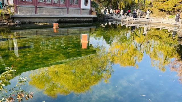 新视界｜如诗如画！冬至趵突泉 景色别样新