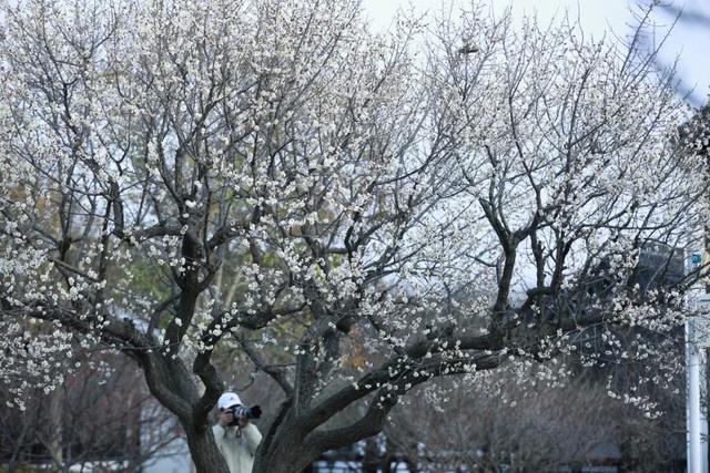 盐城春节活动第一波上新！