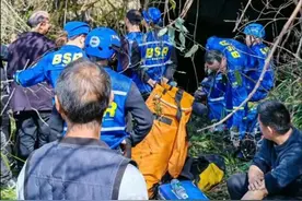 重庆酉阳一八旬老人上山砍柴后失联3天，家人急求搜救犬，多方回应图片