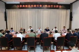 玉林高新区召开招商引资工作运行分析会图片
