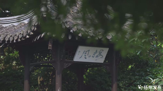 扬州VS盐城：“盐”定今生，各自风华