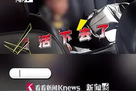 上海高速惊现“流浪”小孩！民警这波操作亮了图片