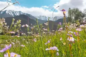 穿越云雾 探寻“西昆仑秘境”的绝美奇观图片