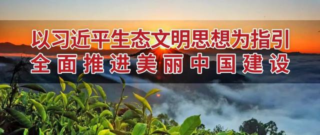 临翔区“红色旅游”：从“参观一次”到“回味一生”