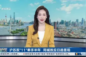 沪苏双“11”牵手半年 同城效应日趋显现图片