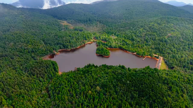免费开放！闽清秋日生态游绝佳打卡地→