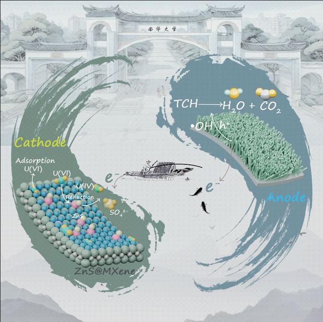 南华大学曾庆意教授团队在环境领域顶级期刊发表最新研究成果