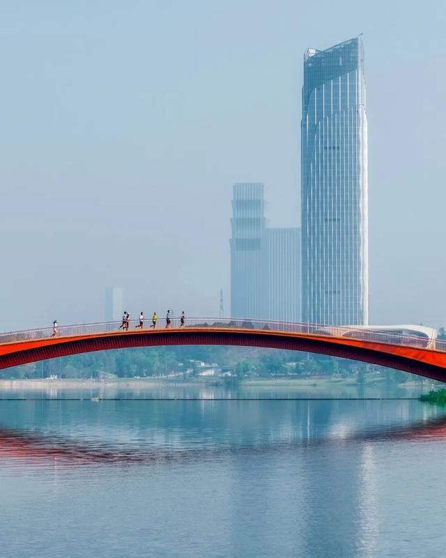 图解兴隆湖丨成都画报