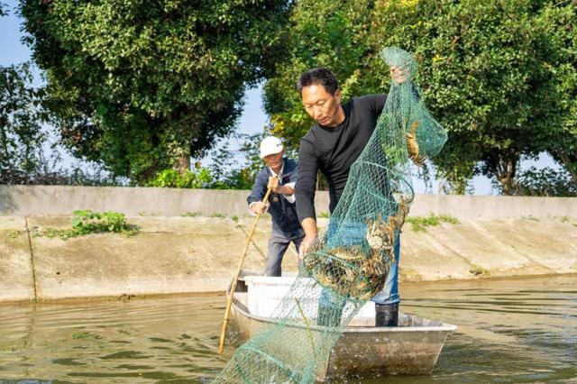 大通湖邀你露营品蟹 共赴自然与文化的盛宴