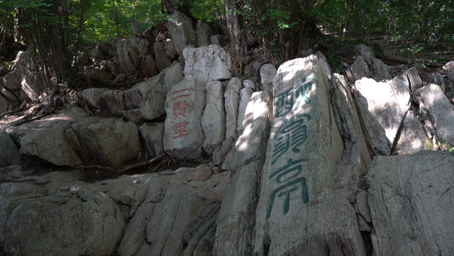 又到周末！来一场邂逅惊喜的冬日Citywalk