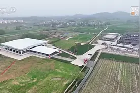 这座“迄今规模最大、等级最高”楚国墓葬，主人竟是他?图片