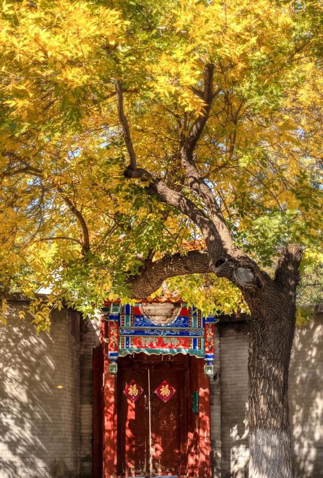 11月最应该去哪里旅行？