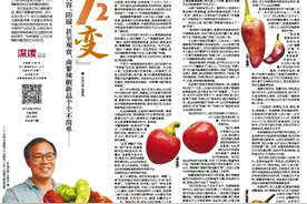 深读丨食用、药用、美容、防腐……南繁辣椒新品个个不简单图片