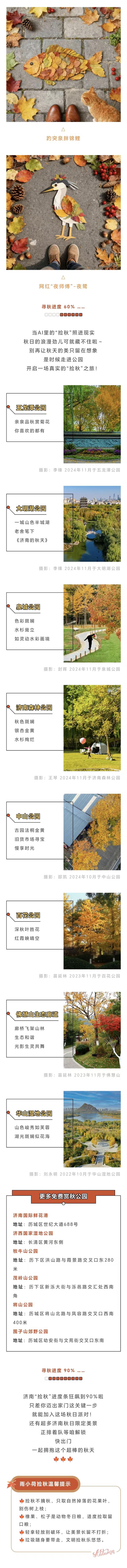 “捡秋”示意图和济南这几个公园的落叶都准备好了！