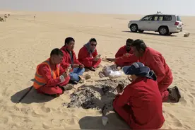 我在沙特找石油 | “一带一路”十年记⑨图片