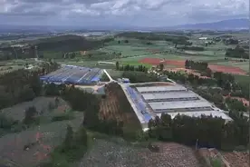 陆良：蛋鸡住“楼房” 鸡蛋跑“赛道”图片