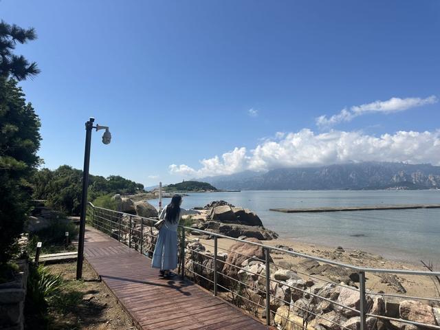 青岛宝藏海岛｜海上“竹海桃源”，探秘正在蜕变的小管岛