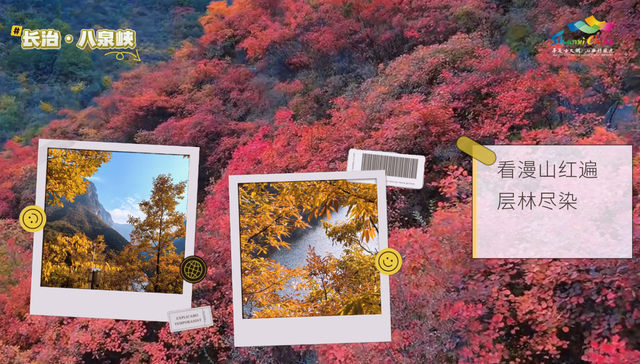 秋色太行 | 即刻出发，闯入山西的斑斓秘境