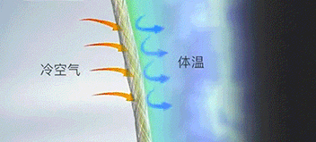 冬天穿得少的女生真的不怕冷吗？