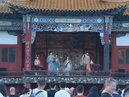 绝美！10万㎡秋日花海浪漫盛放，一起摇滚| 北京音乐地图