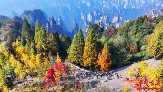 赏秋正当时！湖南登山赏景攻略来了