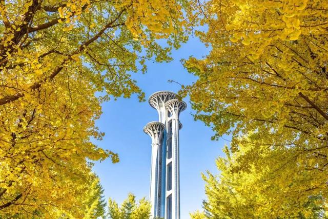 北京彩叶树变色率播报：近郊这个公园变色率高达95%