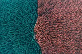 交广夜听｜人到中年，请养好自己的磁场图片