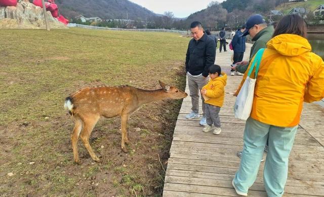 承德文旅冬季旅游十大看点