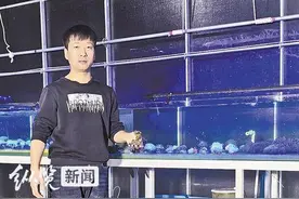 乡村行·看振兴｜大棚里“长”出五彩珊瑚图片