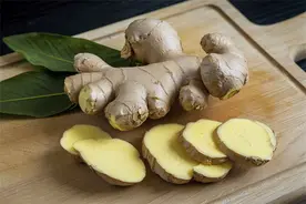 常用中药100味｜厨房常客生姜：药食同源的养生宝藏图片