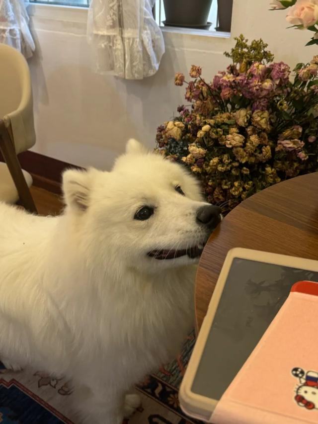 初冬CityWalk，来西山棕树营邂逅悠闲时光