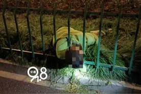 杭州一醉酒男子头卡护栏还……太离谱了!图片