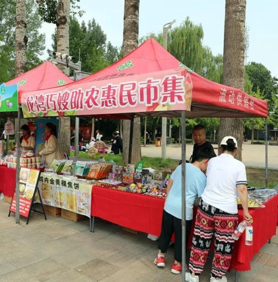 以“荷”为媒绘文旅新画卷！顺义公园荷花展开幕