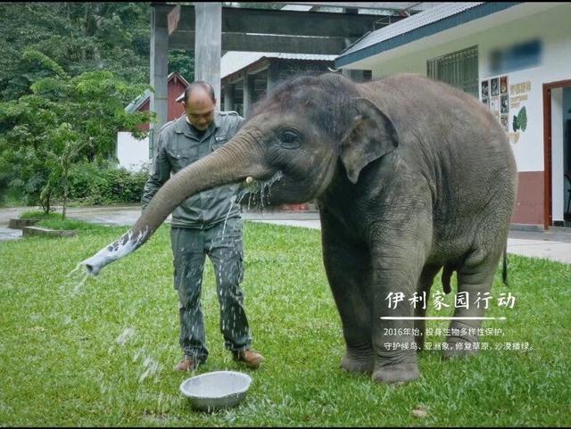 看完这场艺术展，突然好想“搭一下”这个世界
