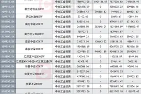 持有市值超万亿，国家队重仓ETF榜单出炉，中证500ETF被增持，沪深300等宽基调仓不一图片