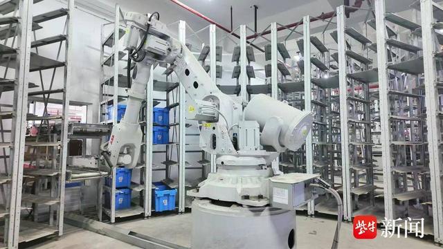 连云港天马云仓“火力全开”迎战“双十一” 智慧物流助力订单“当日达”