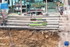 韩国首尔一路面出现塌陷图片