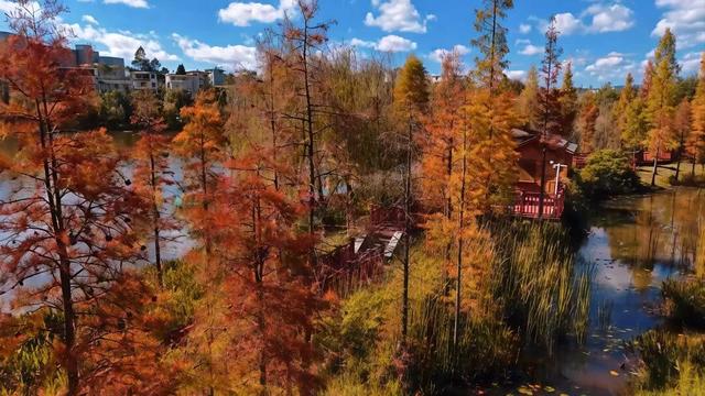 今天，楚雄要给你点颜色看看