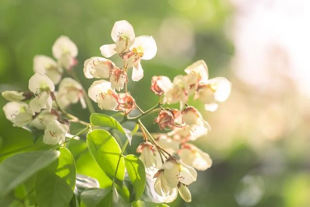 四时天工 扬州如画