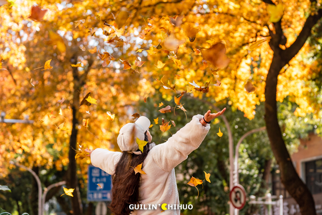 冬至丨解锁桂林的多彩冬天！