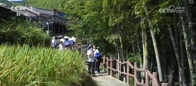 多彩秋日让游客“留下来赏秋、住下来体验” 带火多样化文旅消费