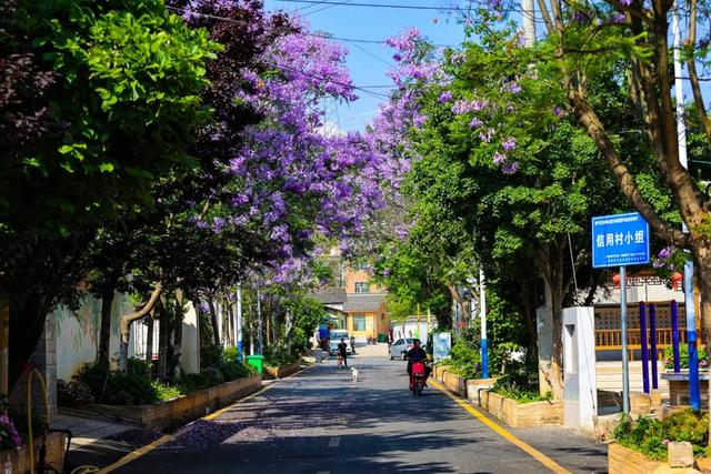 昆明首个文旅康养特色产业集聚区落户晋宁