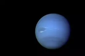 气味科学家列举整个宇宙最难闻的气味，最后一种或许能把你臭晕图片