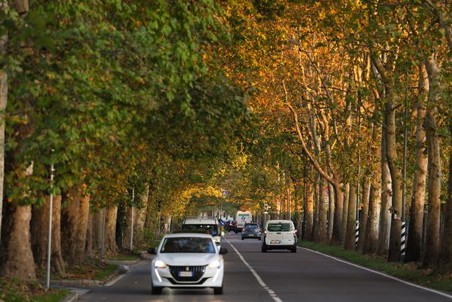 米兰：惬意秋日