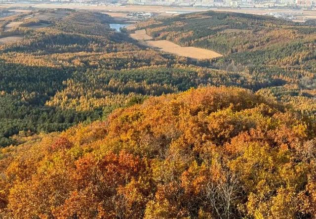 看，延吉秋景深藏诗意！